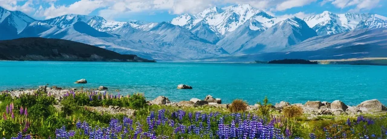 Top 10 Tourist Places To Visit In New Zealand You Can't Miss