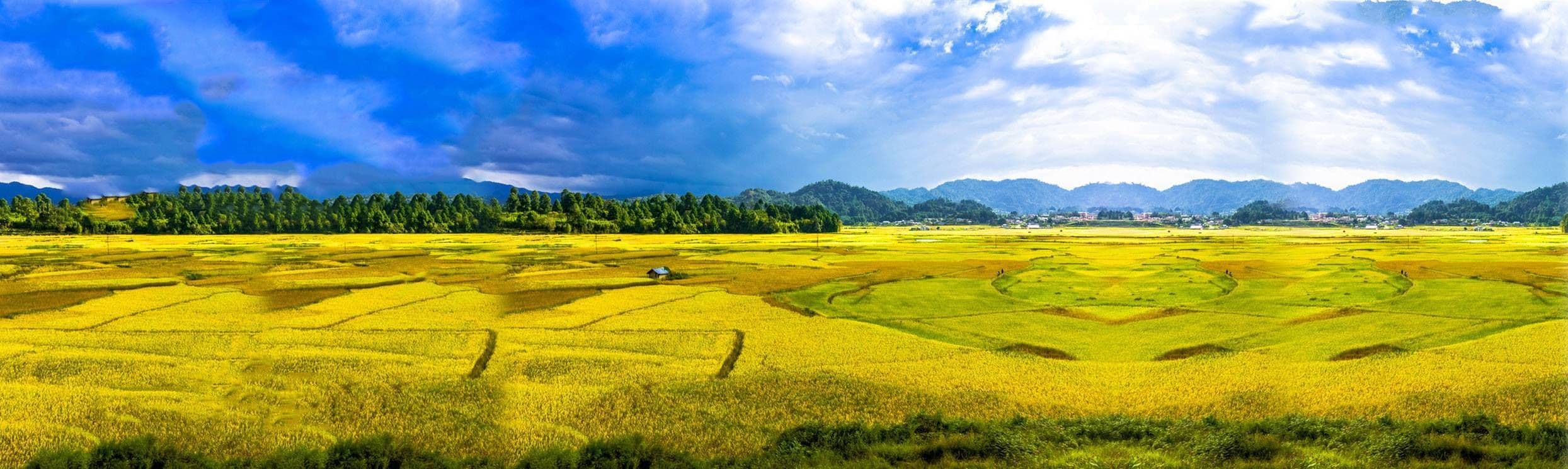 ‘Ziro’ boring days in this village of Northeast India