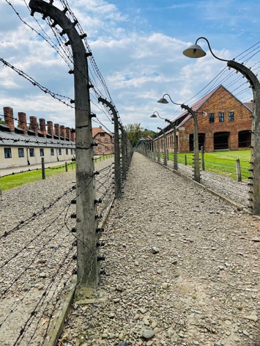 Pic-5-Auschwitz-Warsaw - Copy